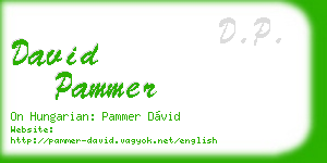 david pammer business card